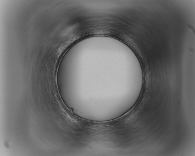 X0000103960721200809191334