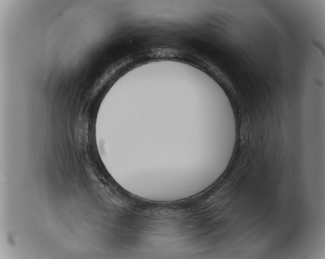 X0000103960722200809191334