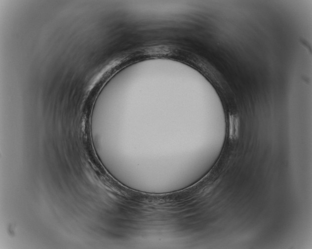 X0000103960723200809191334