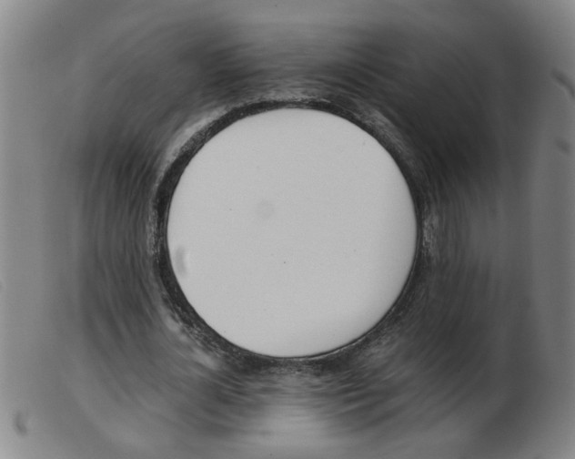 X0000103960724200809191334