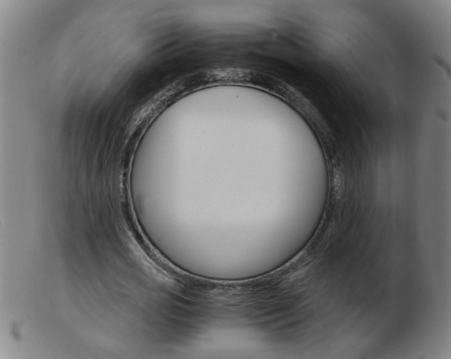 X0000103960725200809191334