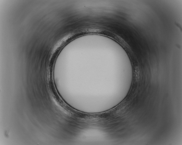 X0000103960726200809191334