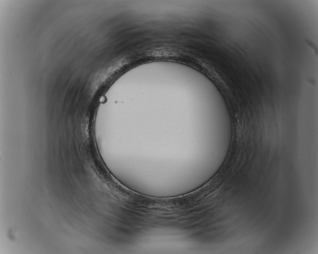 X0000103960727200809191334
