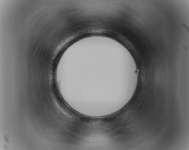 X0000103960728200809191334