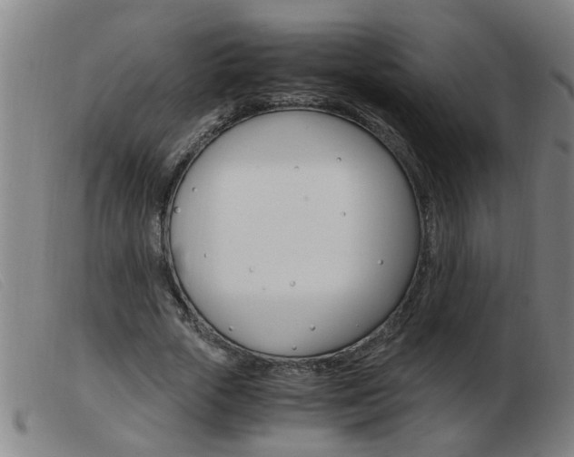 X0000103960729200809191334