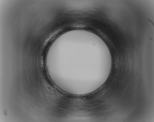 X0000103960731200809191334