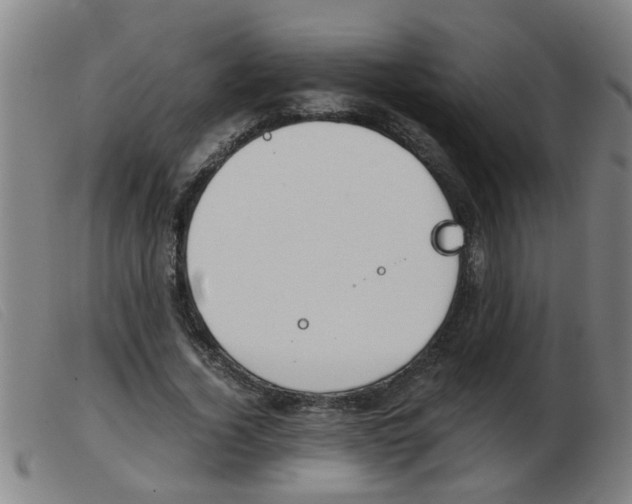 X0000103960732200809191334