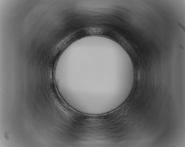 X0000103960733200809191334