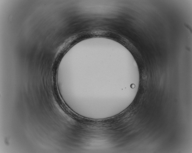 X0000103960734200809191334