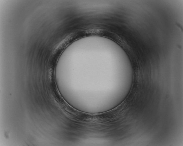 X0000103960735200809191334