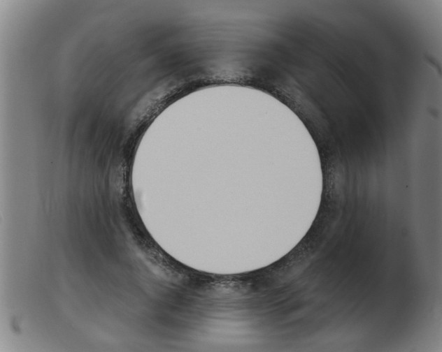 X0000103960736200809191334