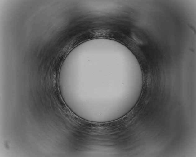 X0000103960737200809191334
