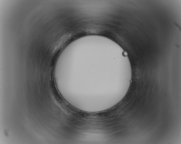 X0000103960738200809191334
