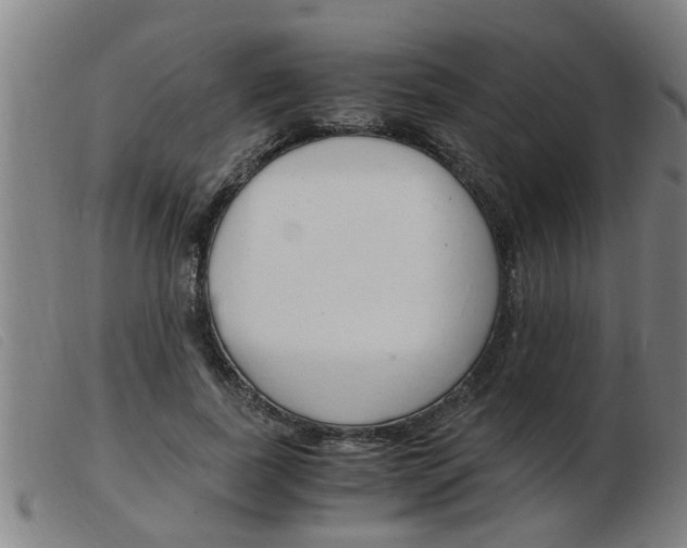 X0000103960739200809191334