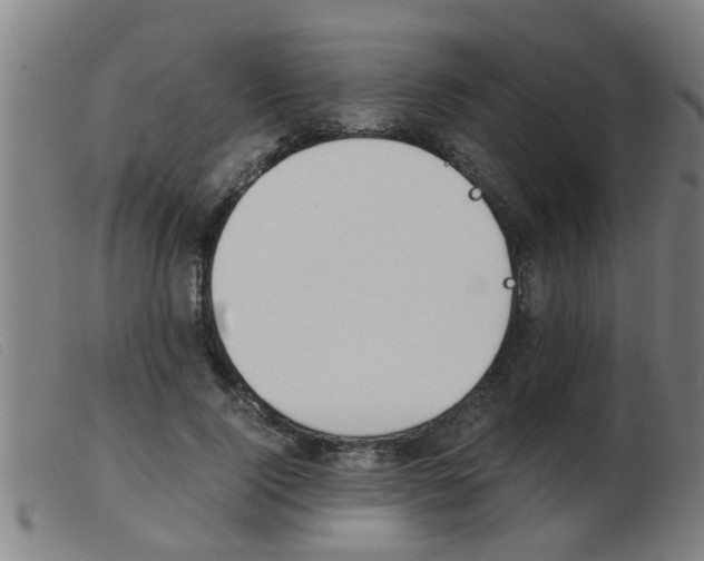 X0000103960740200809191334