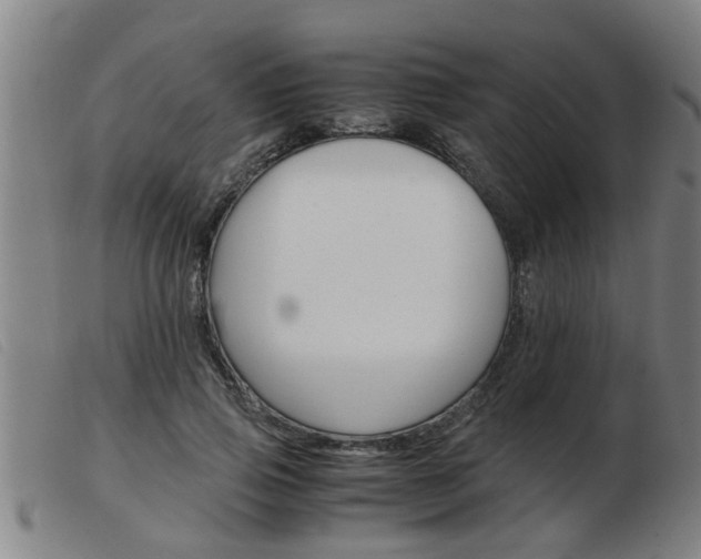 X0000103960741200809191334