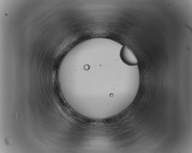 X0000103960742200809191334