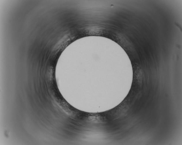 X0000103960744200809191334