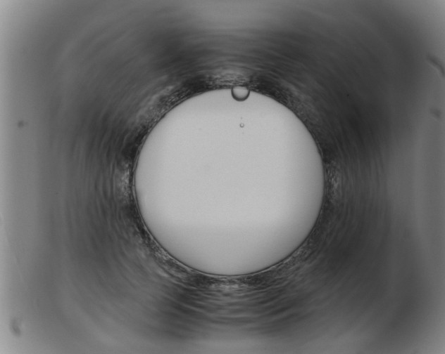 X0000103960745200809191334