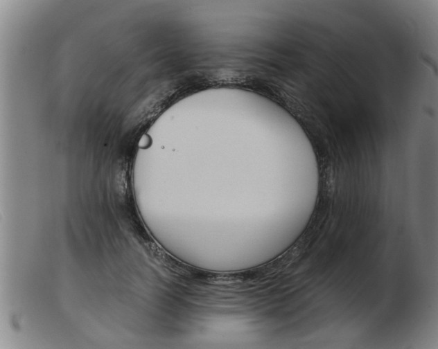 X0000103960746200809191334