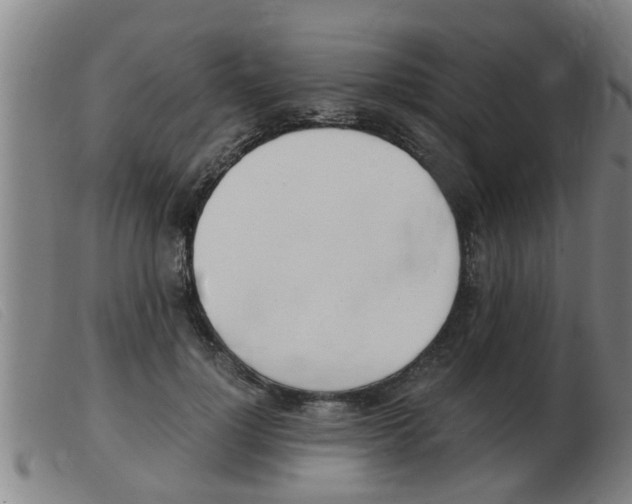 X0000103960748200809191334