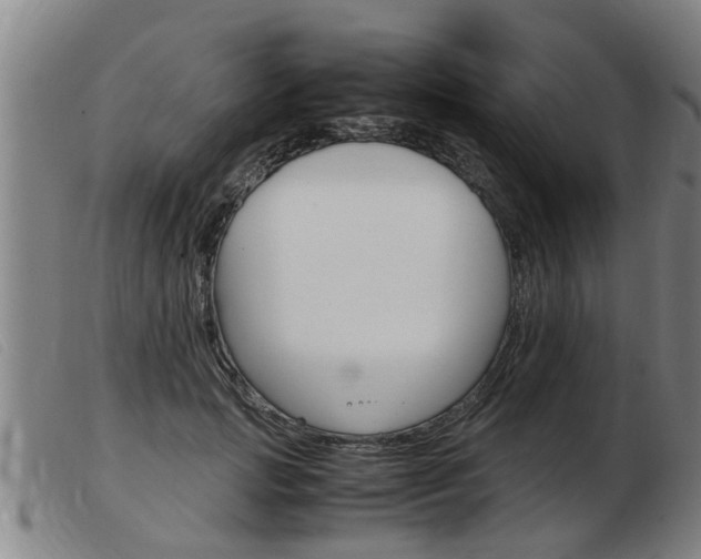 X0000103960749200809191334