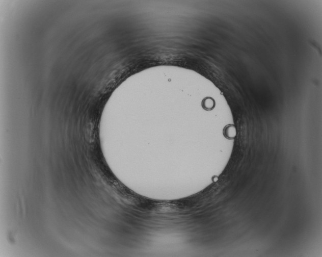 X0000103960750200809191334