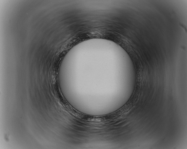 X0000103960751200809191334