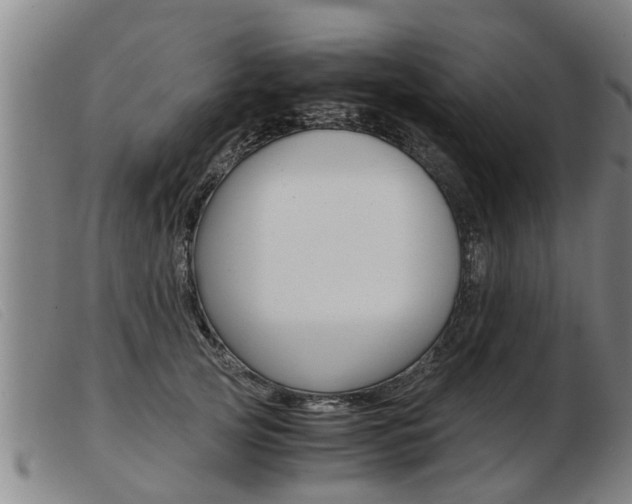 X0000103960753200809191334