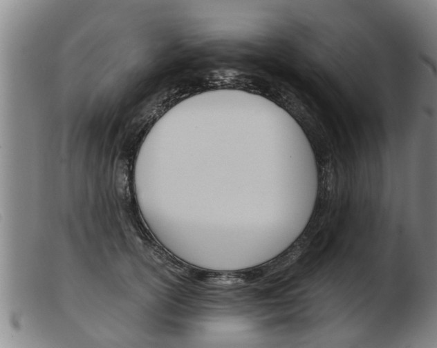 X0000103960754200809191334