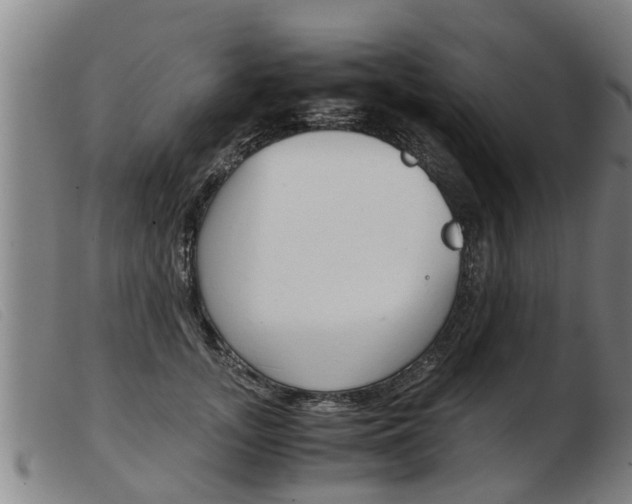 X0000103960755200809191334