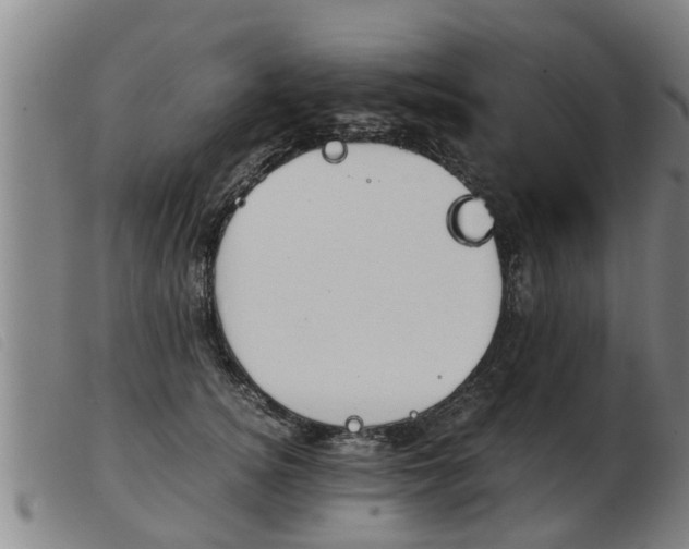 X0000103960756200809191334