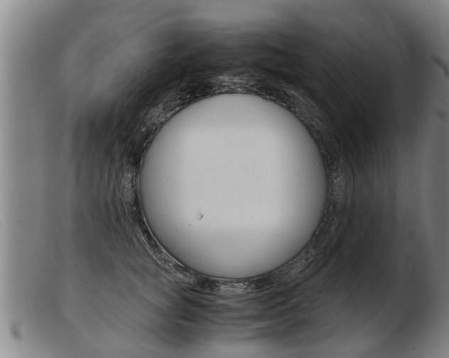 X0000103960757200809191334