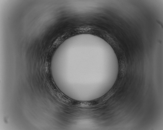 X0000103960758200809191334