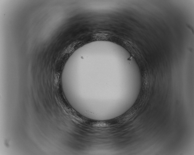 X0000103960759200809191334