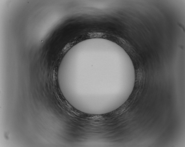 X0000103960761200809191334