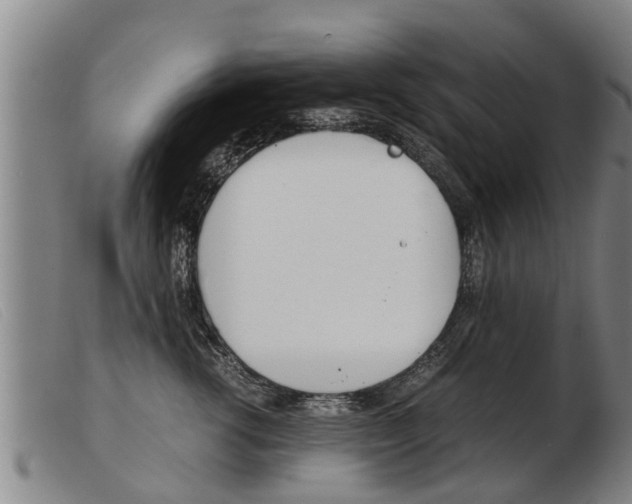 X0000103960762200809191334