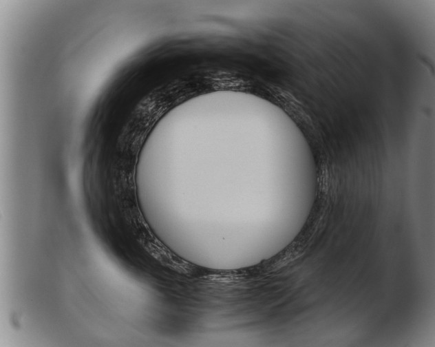 X0000103960763200809191334