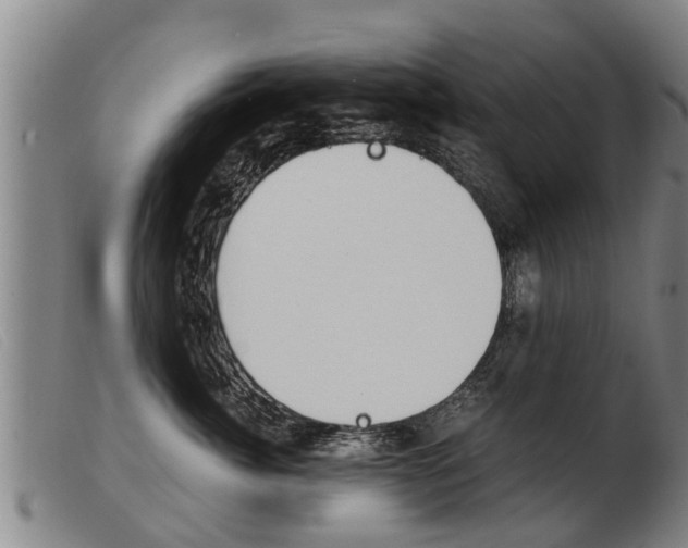 X0000103960764200809191334