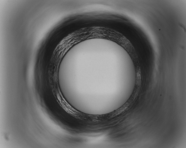 X0000103960765200809191334