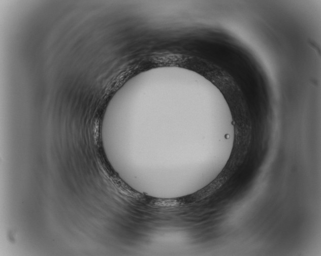 X0000103960767200809191334
