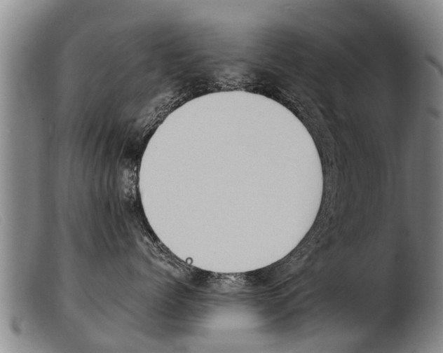 X0000103960768200809191334