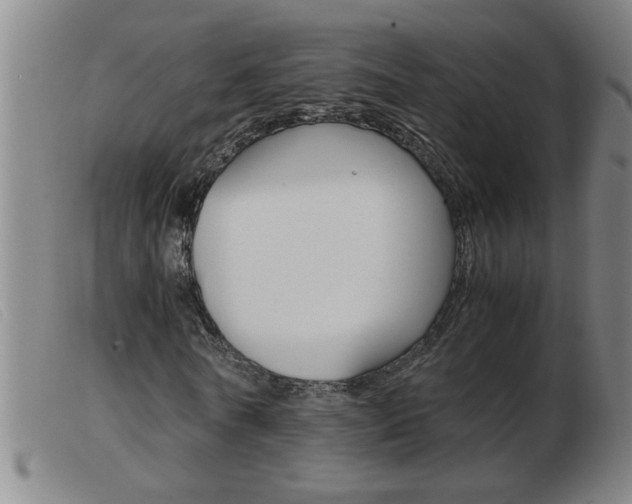 X0000103960770200809191334