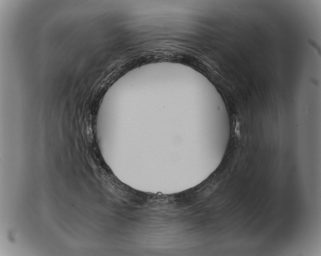 X0000103960771200809191333