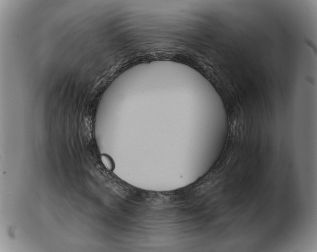X0000103960772200809191333