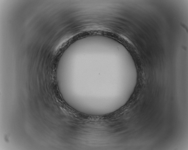 X0000103960775200809191333