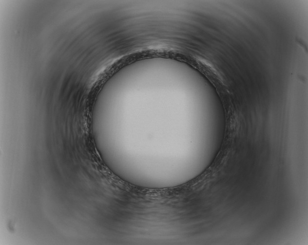 X0000103960776200809191333