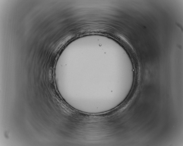 X0000103960777200809191333