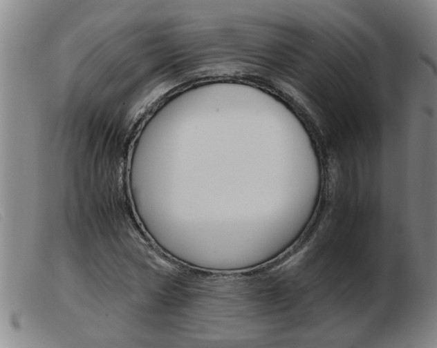 X0000103960778200809191333