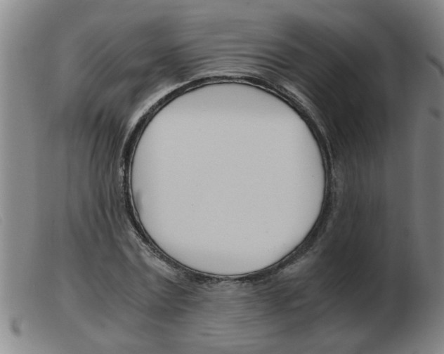 X0000103960779200809191333